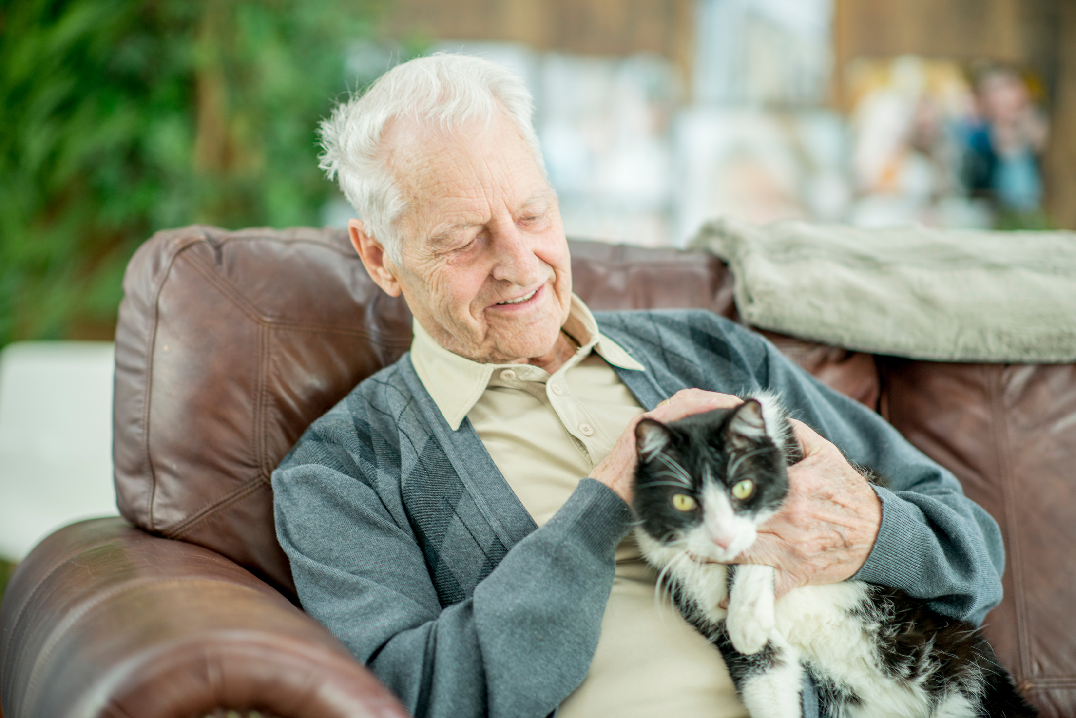 Elderly Man With A Cat